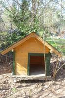 Hundehütte aus Holz Brandenburg - Beelitz Vorschau