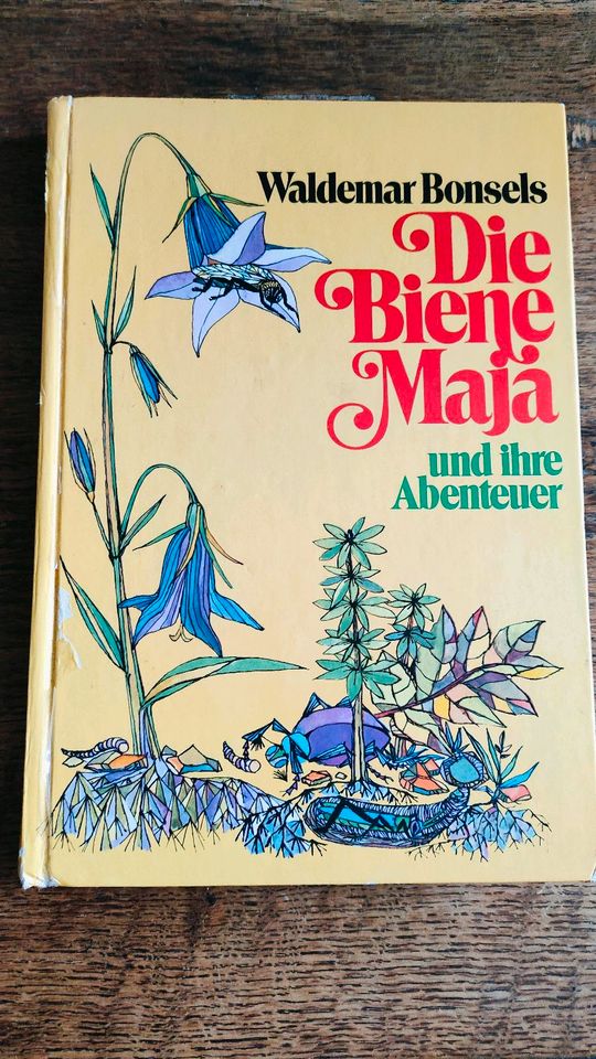 Kinderbuch Die Biene Maja und ihre Abenteuer in Berlin