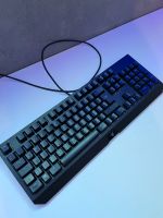 Razer Tastatur Blackwidow Hessen - Witzenhausen Vorschau