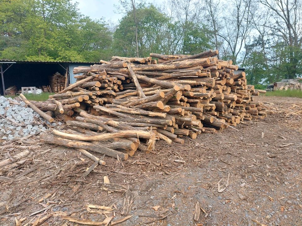 Robinienpfähle  2,5m in Lohsa