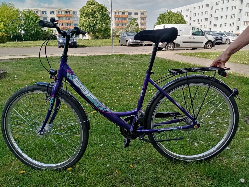 26er Damenfahrrad in Angermünde