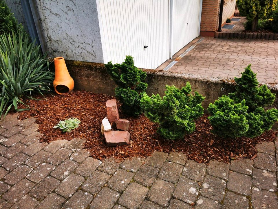 Erdarbeiten Gartenarbeiten Baggerarbeiten Gala Bau in Dillingen (Saar)