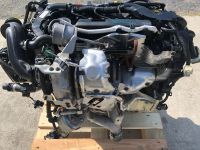 Motor T9CE 2.0TDCI Mit Anbauteile Ford Gewahrleistung Niedersachsen - Braunschweig Vorschau