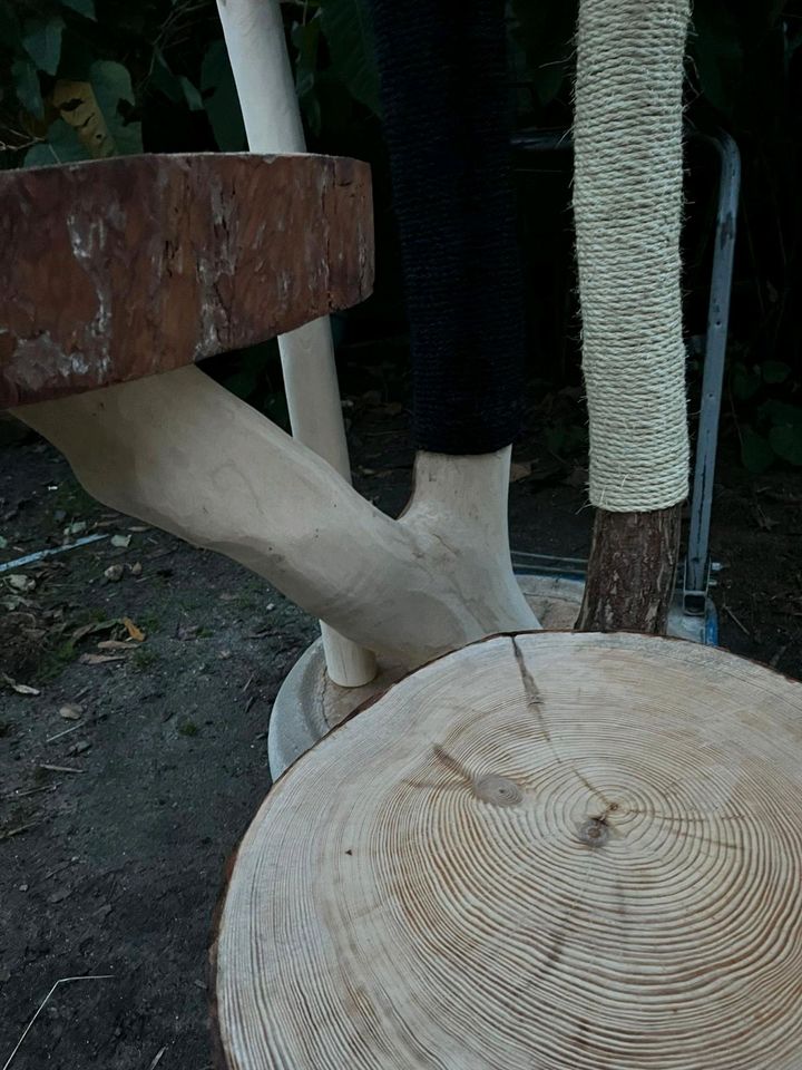 XXL- Kratzbaum / Naturkratzbaum in Thießen