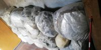17 große Säcke Glaswolle, noch gut verwendbar, trocken gelagert, Nordrhein-Westfalen - Mönchengladbach Vorschau