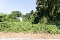 Tolles Baugrundstück mit Blick ins Grüne Rheinland-Pfalz - Frankenthal (Pfalz) Vorschau