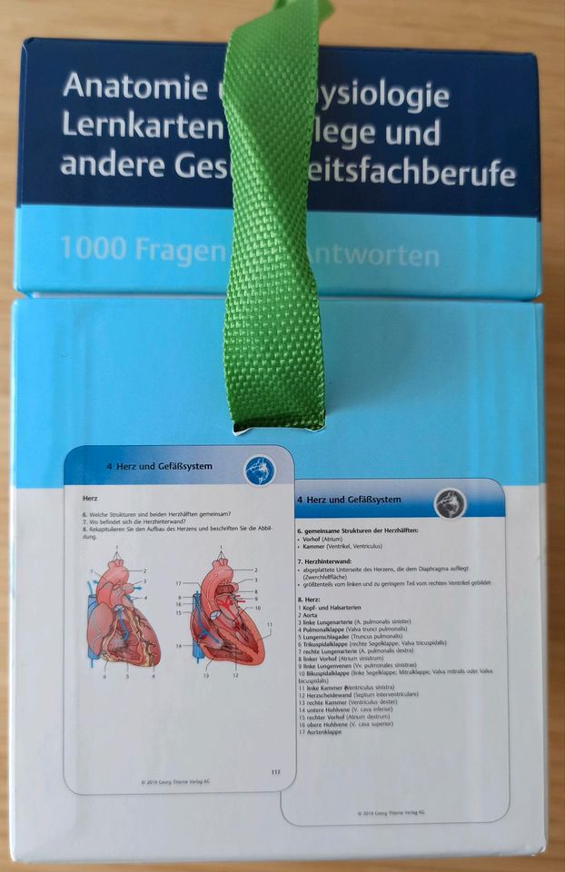 Lernkarten Anatomie und Physiologie in Meißen