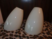 2x 50er 60er Lampenglas GLASSCHIRME  TÜTENLAMPE Rockabilly Baden-Württemberg - Bietigheim-Bissingen Vorschau