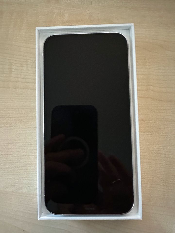 IPhone 12 Pro Max 256 GB Silber in Uetze