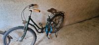 Triumph Fahrrad 26 Zoll Grün Leipzig - Plagwitz Vorschau