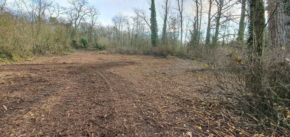 Deltalader mieten mit Forstmulcher etc in Rosdorf