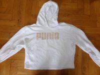 Puma Pullover Kaputzenpulli Crop Pulli Gr M 38 (204) Niedersachsen - Bohmte Vorschau