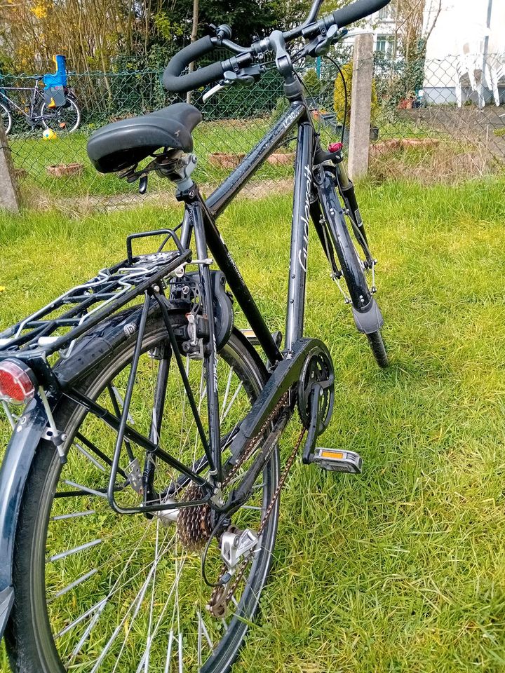 Fahrrad Zoll 28 in Detmold