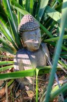 Räume für ein buddhistisches Zentrum Berlin - Wilmersdorf Vorschau