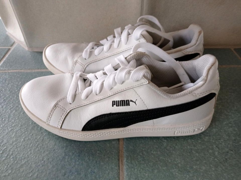 Puma Sneaker Gr. 36 in Waldkirch