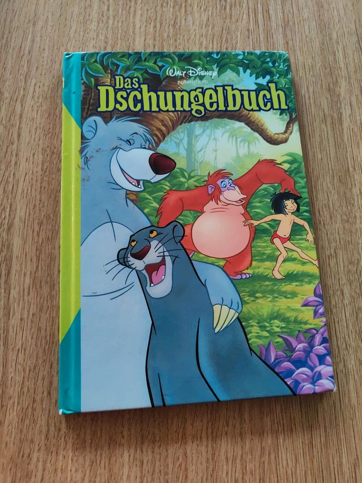 Das Dschungelbuch in Großolbersdorf