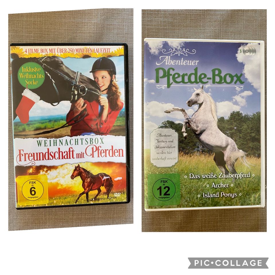 NEU Pferdefilm DVD Box Abenteuer Pferde Freundschaft mit Pferden in Ostrhauderfehn
