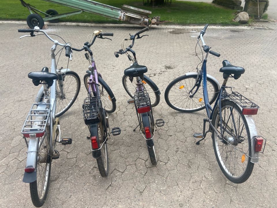 4 Fahrräder 2 x Alu in Burgdorf