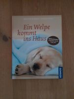 Ein Welpe kommt ins Haus Tierratgeber Niedersachsen - Warmsen Vorschau