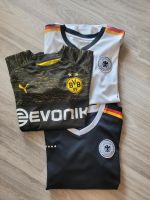 Borussia Dortmund, Götze, DFB, Deutschland Essen - Essen-Ruhrhalbinsel Vorschau