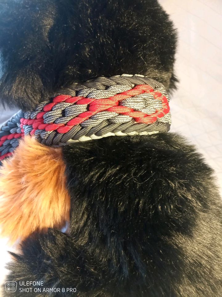 Paracord - Hundehalsbänder in Schondra