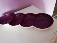 Tupperware Allegra Tafelperle lila, NEU Hamburg-Mitte - Hamburg Horn Vorschau