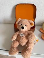 Steiff Teddy Fynn 28 neu Etikett Koffer braun Bayern - Kahl am Main Vorschau