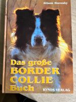 Das große Border Collie Buch Baden-Württemberg - Achern Vorschau