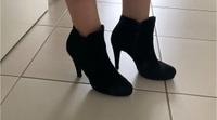 Stiefeletten / Stiefel Anna Field 38 Sendling - Obersendling Vorschau