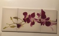 3 er Orchideen Ikea Bild  Super zustand Nordrhein-Westfalen - Gummersbach Vorschau