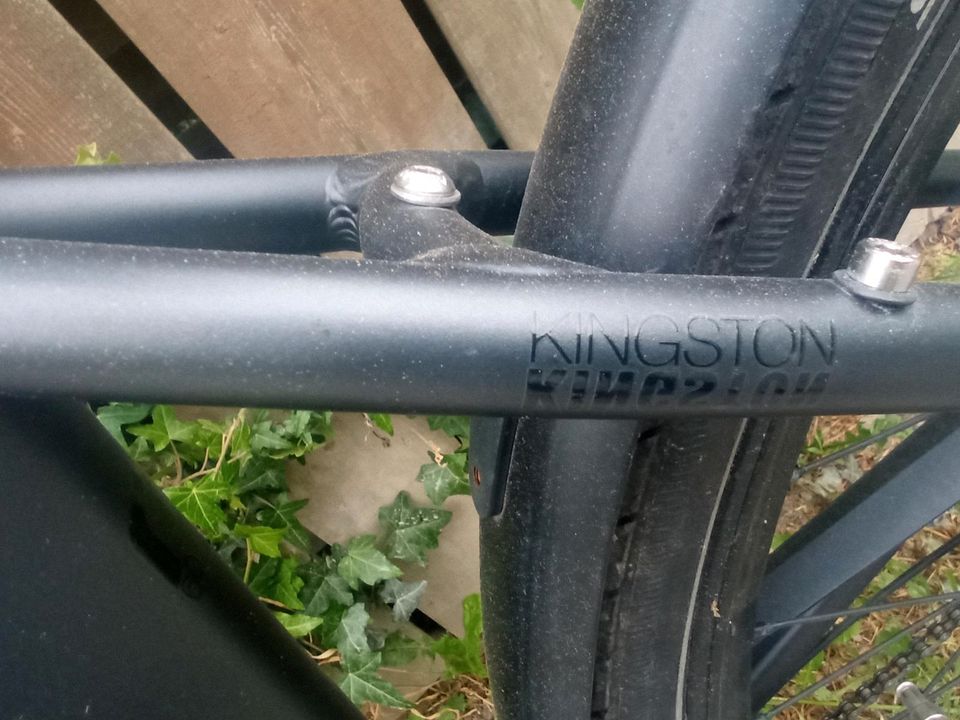 E-Bike Raleigh Kingston Disc  ähnl.Kalkhoff 28 Zoll Bosch in Hildesheim