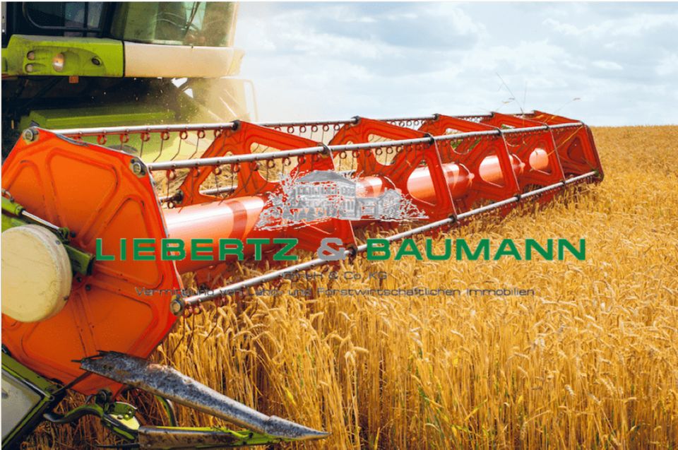 Landwirtschaftliche Flächen in Sachsen zur Kapitalanlage (langfristige