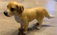 Schleich Golden Retriever cool Nordrhein-Westfalen - Niederkassel Vorschau