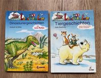 Lesepiraten Buch Thüringen - Unterbreizbach Vorschau