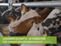 Landwirtschaftl. Mitarbeiter für Tierhaltung/Kälberaufzucht m/w/d Niedersachsen - Cloppenburg Vorschau
