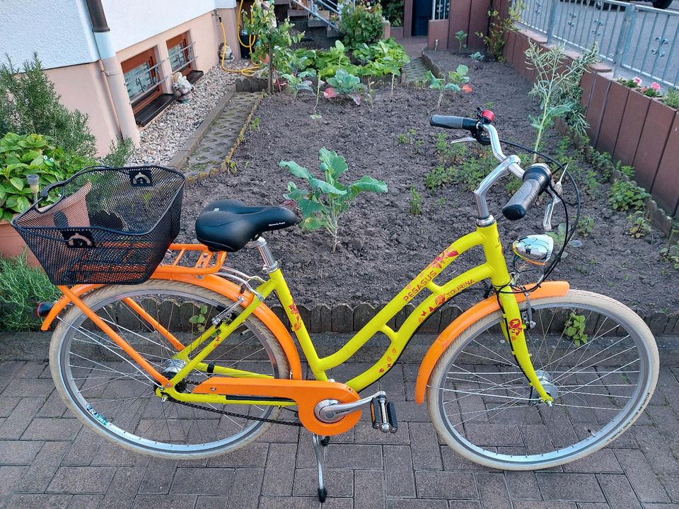 28zoll Damenfahrrad von Pegasus. in Schifferstadt