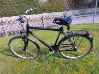 Pegasus Alu California Fahrrad 28 Zoll Nordrhein-Westfalen - Bad Sassendorf Vorschau