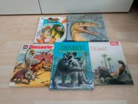 Dinosaurier Paket 4 Bücher+ 1 Buch Tiptoi Baden-Württemberg - Rastatt Vorschau