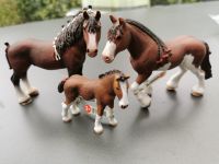 Schleich Pferde Clydesdale Wallach 13808 Stute 13809 Fohlen 13810 Nordrhein-Westfalen - Geldern Vorschau