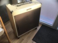 Roland Blues Cube BC 60/310 Baden-Württemberg - Billigheim Vorschau