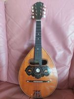 Mandoline  ca 1920 Riopalisander Fichte Tausch Konzertgitarre Bayern - Neureichenau Vorschau