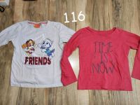 5x Pullover und 1x Bluse Gr. 116 Paw Patrol, Einhorn Pulli Baden-Württemberg - Fichtenau Vorschau