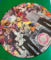 12" Vinyl Sammlung Oldies Picture Discs LPs Elvis Bardot Stones Hessen - Bad Homburg Vorschau
