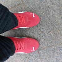 Puma Speedcat OG Sneakers rot Berlin - Zehlendorf Vorschau