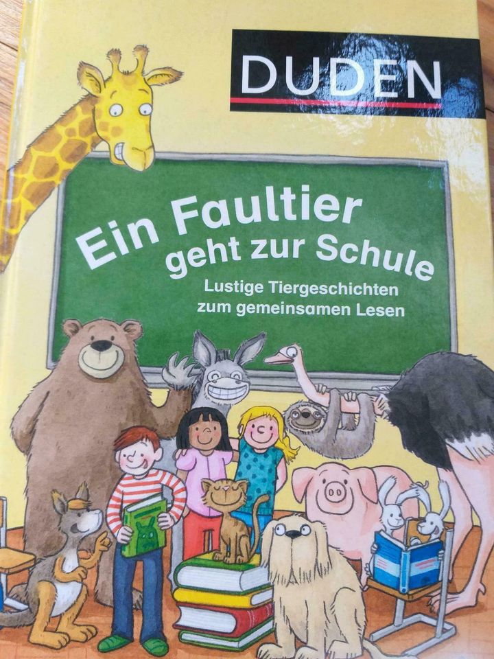 Buch "Ein Faultier geht zur Schule" in Erlangen