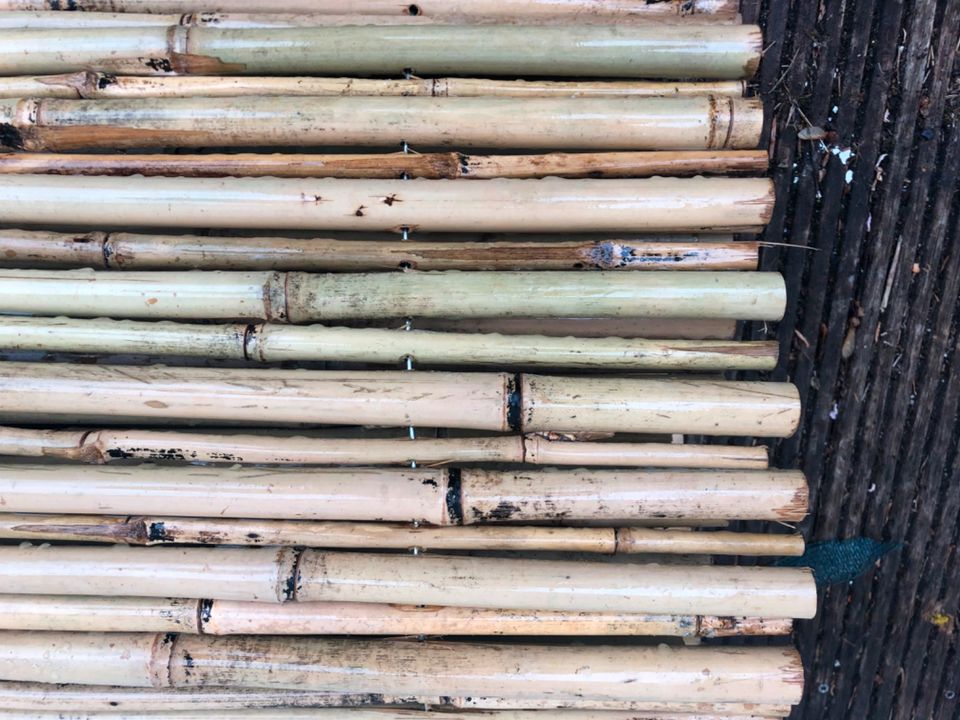 Bambus Matte " Bali"extrem stabil 200x300cm mit Draht durchbohrt in Hohenkammer