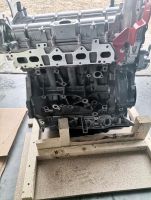 Motor Fabrik NEU FORD TRANSIT MK8 / CUSTOM 2.0 ab 2016bj Baden-Württemberg - Oberkirch Vorschau