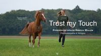 Pferdephysiotherapie und Pferdeosteopathie Nordrhein-Westfalen - Telgte Vorschau
