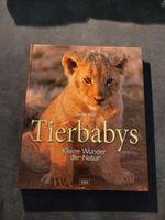 Tierbabys. Kleine Wunder der Natur . BUCH Baden-Württemberg - Ostfildern Vorschau