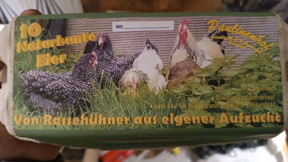 Eier Rassehüner Maran Sussex Mechelner Araucana in Wolpertshausen